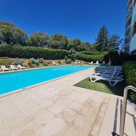 Flamingo * Portimão